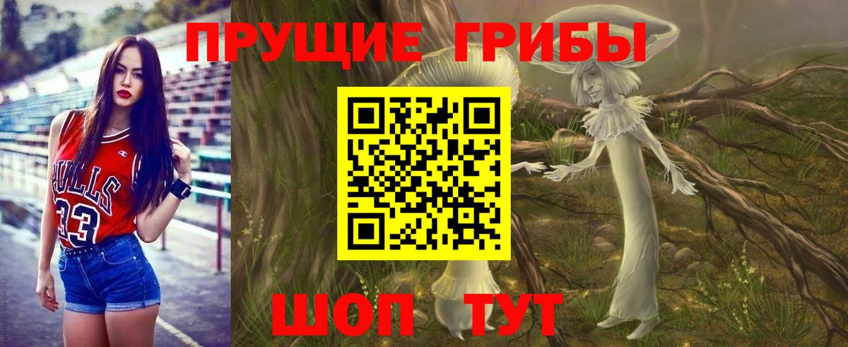 Галлюциногенные грибы MAGIC MUSHROOMS Черкесск